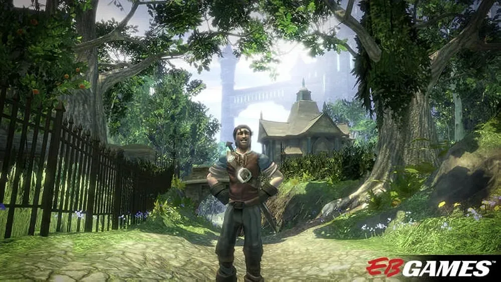Fable II Full PC Game Download — Screenshots 2